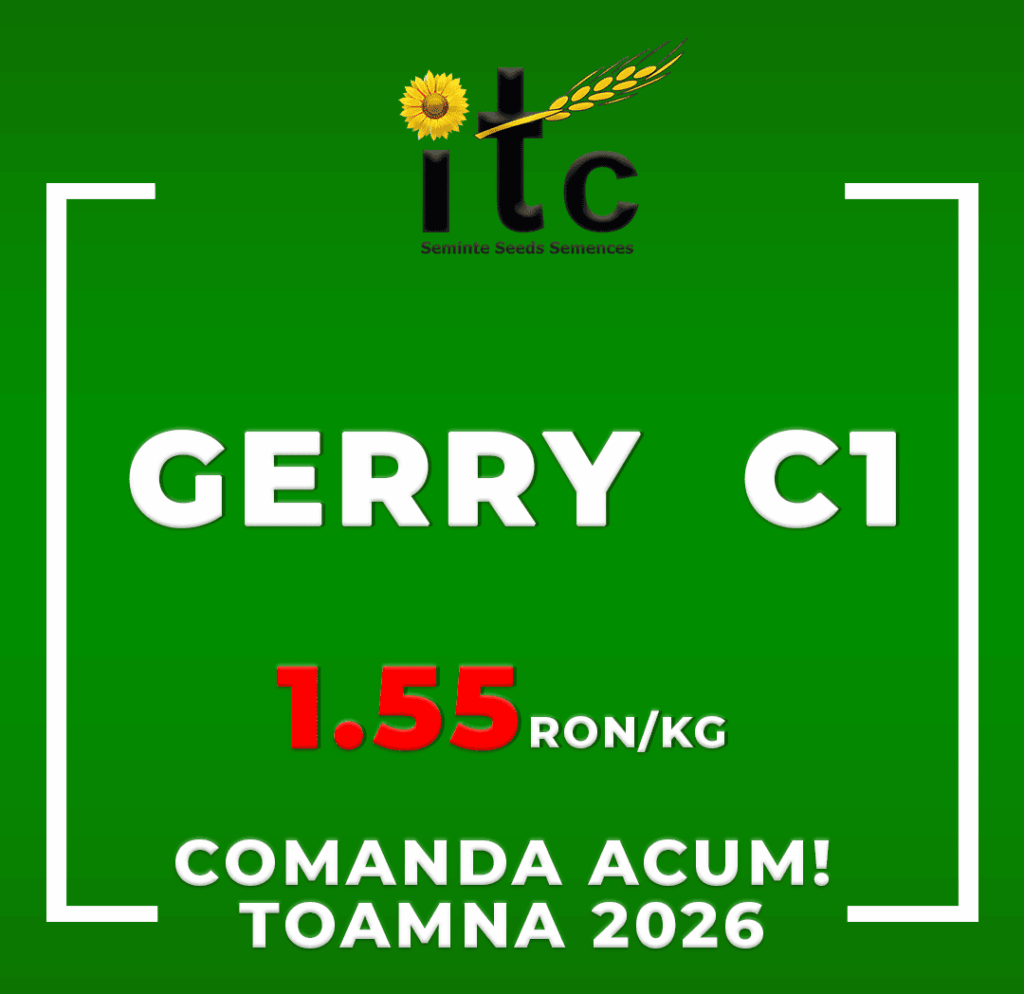 Samanta de Grau ITCseeds GERRY C1 ITCseeds Producator Seminte Agricole