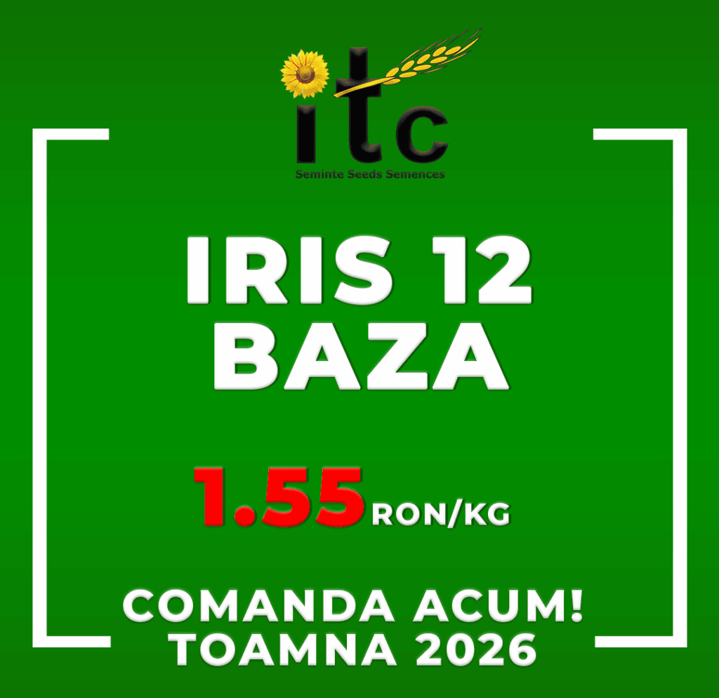Samanta de Grau ITCseeds IRIS 12 ITCseeds Producator Seminte Agricole