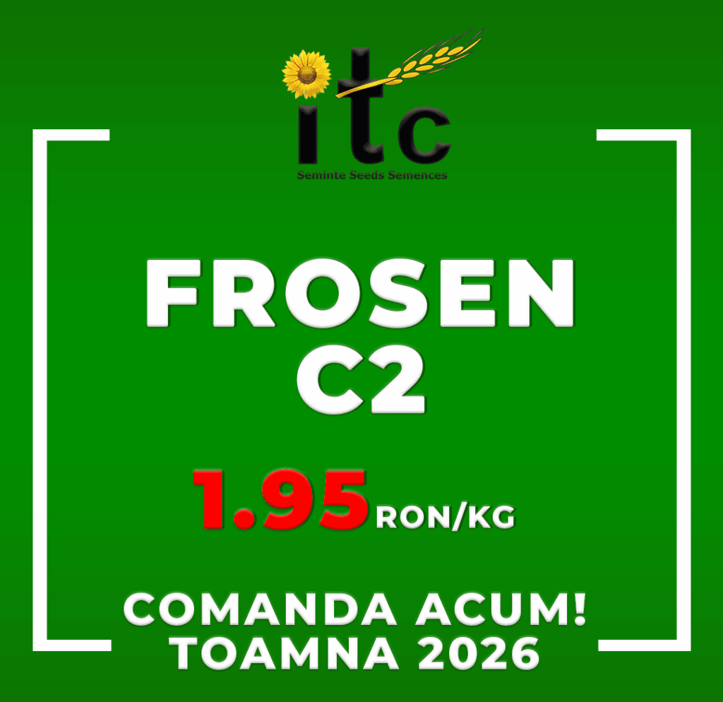 Samanta de mazare de toamna ITCseeds Producator Seminte Agricole