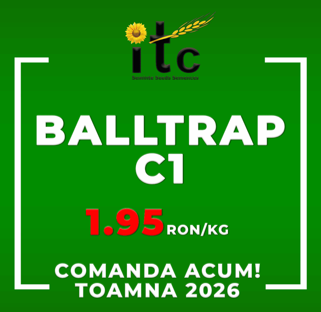 Samanta de mazare de toamna Balltrap c1 ITCseeds Producator Seminte Agricole